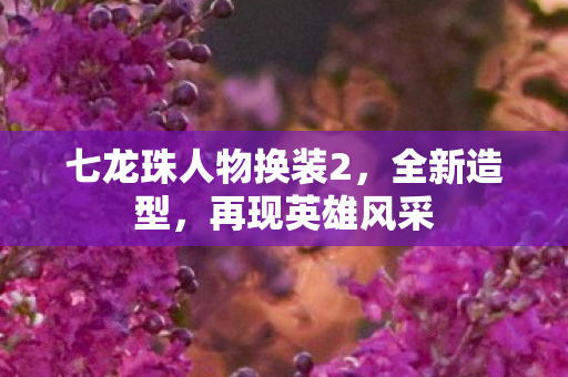 七龙珠人物换装2图片