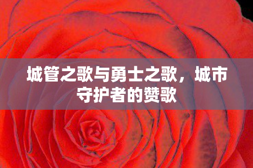 城管之歌与勇士之歌图片