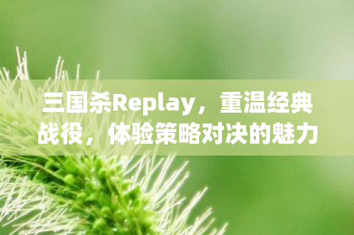三国杀Replay图片