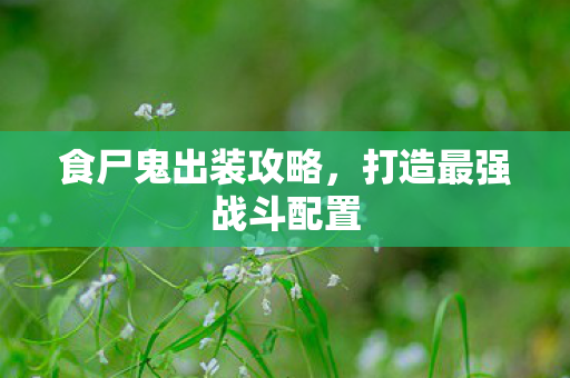 打造最强战斗配置图片