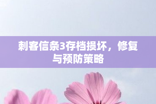 刺客信条3存档损坏图片