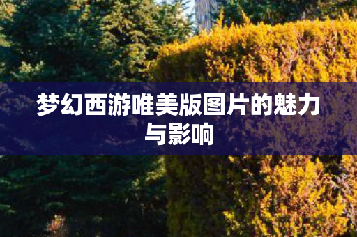 梦幻西游唯美版图片的魅力与影响图片