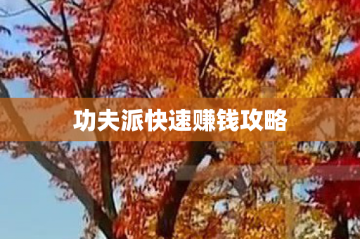 功夫派快速赚钱攻略图片