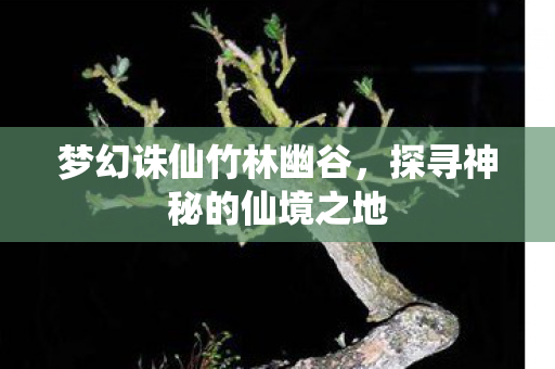 探寻神秘的仙境之地图片