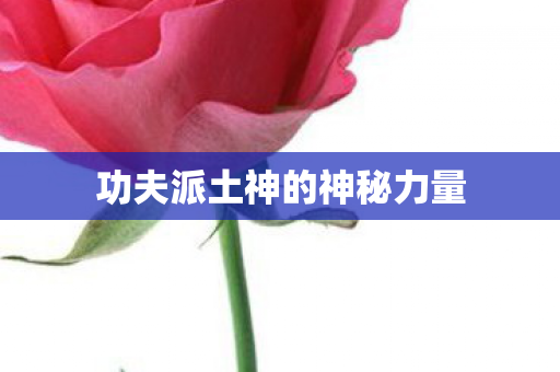 功夫派土神的神秘力量图片