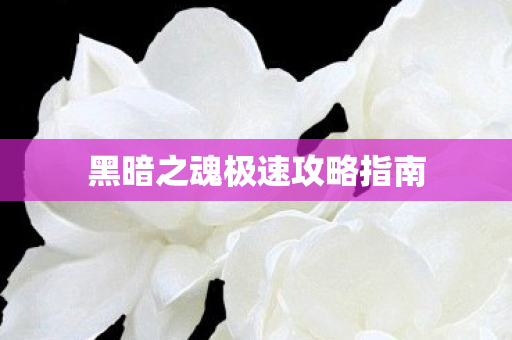 黑暗之魂极速攻略指南图片