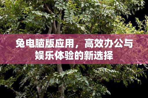 高效办公与娱乐体验的新选择图片