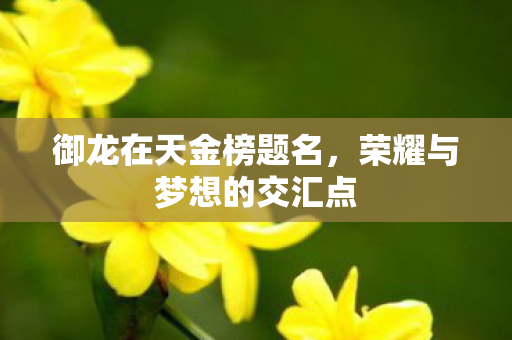 荣耀与梦想的交汇点图片