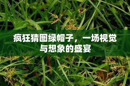 一场视觉与想象的盛宴图片