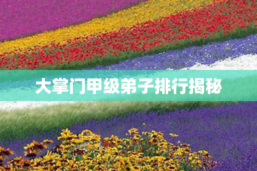 大掌门甲级弟子排行揭秘图片