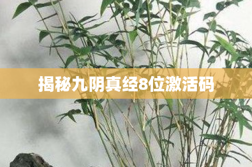揭秘九阴真经8位激活码图片