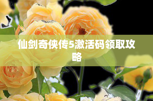 仙剑奇侠传5激活码领取攻略图片