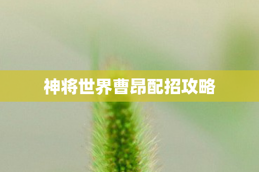 神将世界曹昂配招攻略图片
