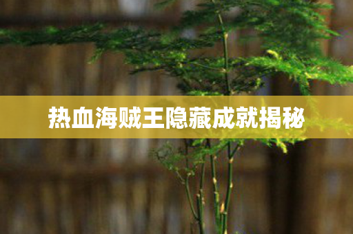 热血海贼王隐藏成就揭秘图片