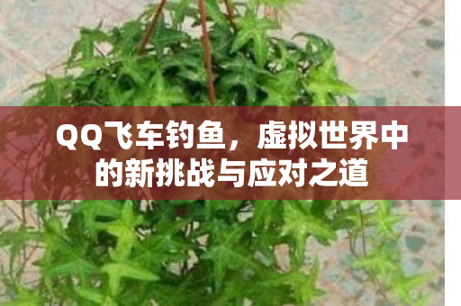 虚拟世界中的新挑战与应对之道图片