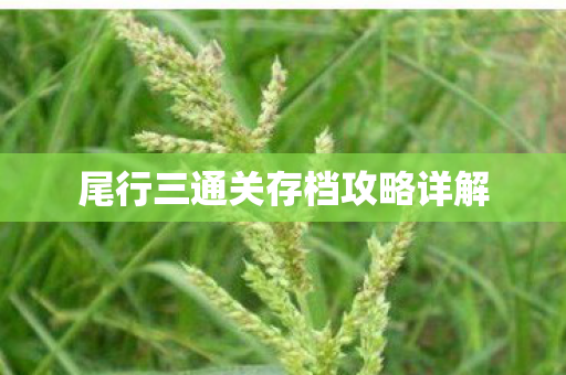 尾行三通关存档攻略详解图片