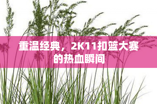 2K11扣篮大赛的热血瞬间图片