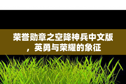 荣誉勋章之空降神兵中文版图片
