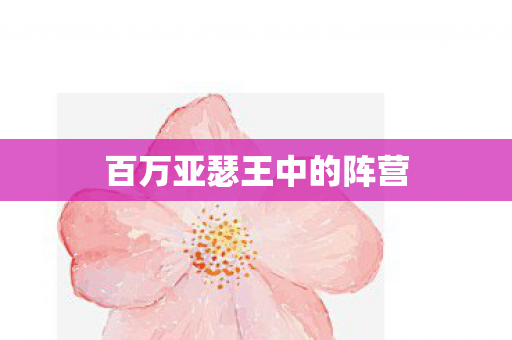 百万亚瑟王中的阵营图片