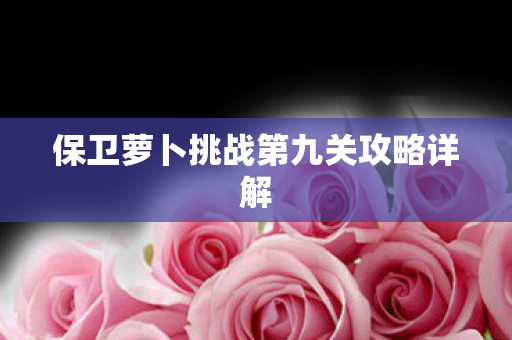 保卫萝卜挑战第九关攻略详解图片