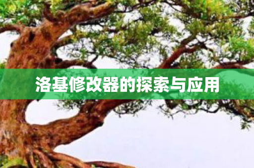 洛基修改器的探索与应用图片