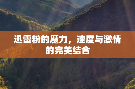 速度与激情的完美结合图片