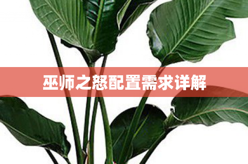 巫师之怒配置需求详解图片