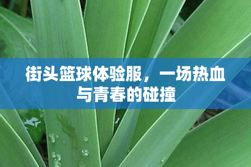 一场热血与青春的碰撞图片
