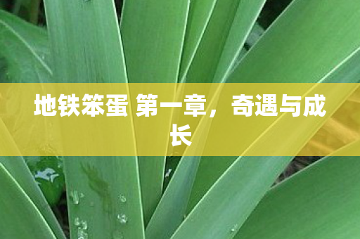 地铁笨蛋 第一章图片