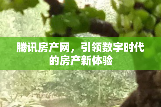 引领数字时代的房产新体验图片