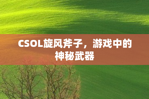 CSOL旋风斧子图片