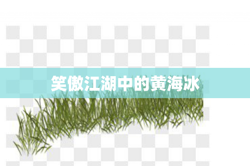 笑傲江湖中的黄海冰图片