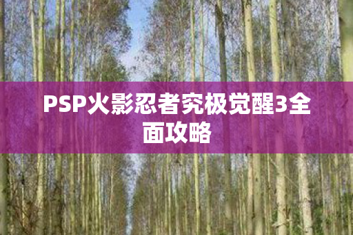PSP火影忍者究极觉醒3全面攻略图片