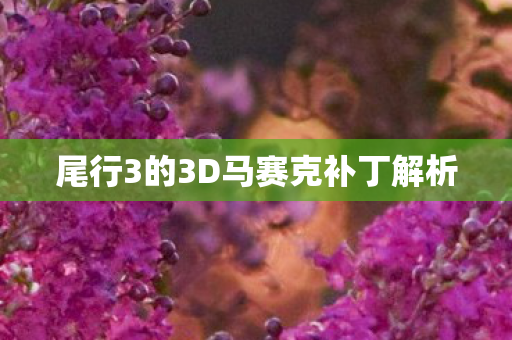 尾行3的3D马赛克补丁解析图片