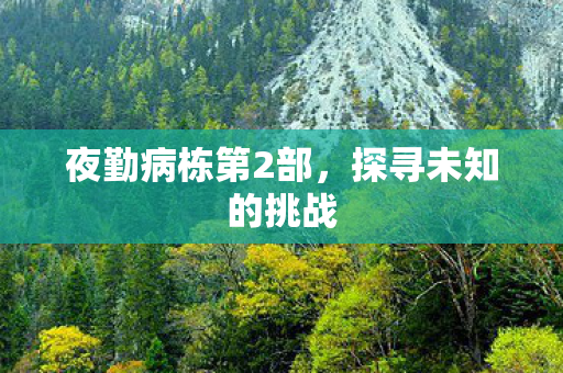夜勤病栋第2部图片