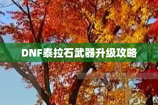DNF泰拉石武器升级攻略图片