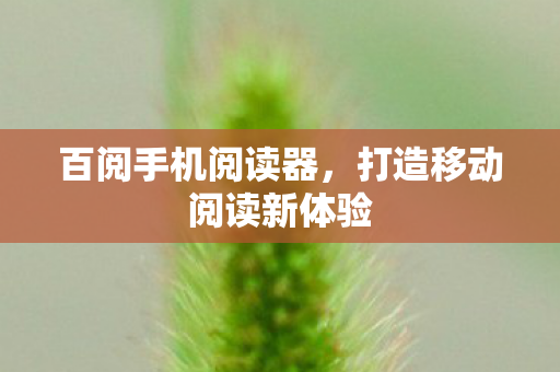 打造移动阅读新体验图片