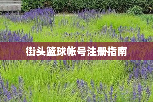 街头篮球帐号注册指南图片