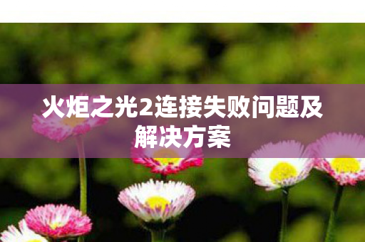 火炬之光2连接失败问题及解决方案图片