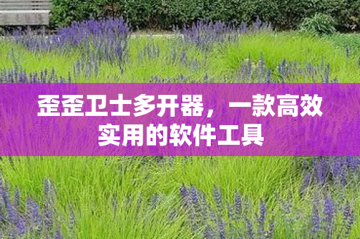 一款高效实用的软件工具图片