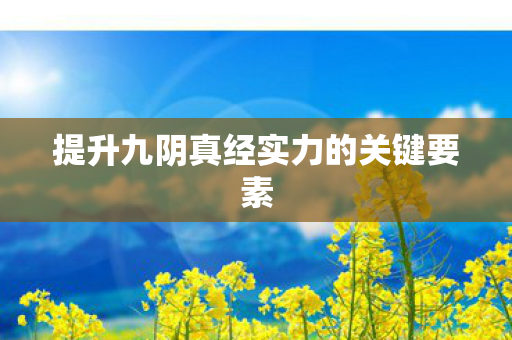 提升九阴真经实力的关键要素图片