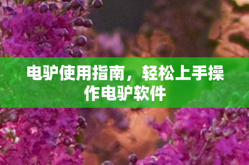 轻松上手操作电驴软件图片