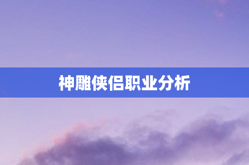 神雕侠侣职业分析图片