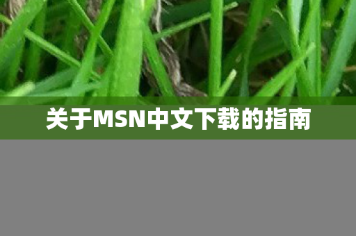 关于MSN中文下载的指南图片