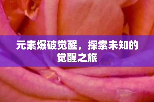 探索未知的觉醒之旅图片