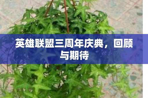 英雄联盟三周年庆典图片