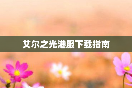 艾尔之光港服下载指南图片