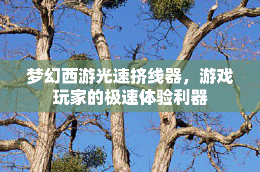 游戏玩家的极速体验利器图片