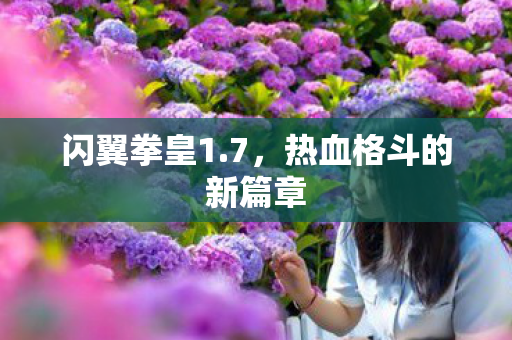 热血格斗的新篇章图片