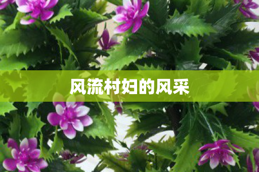 风流村妇的风采图片